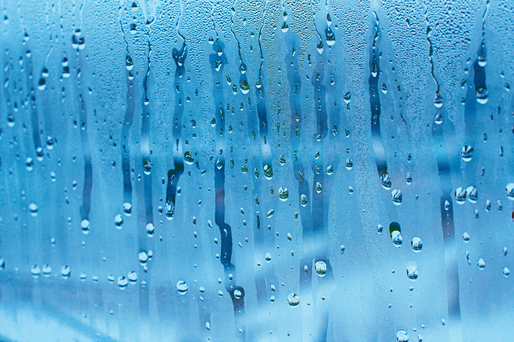 Window condensation: Cheap ways to get rid of moisture without a  dehumidifier